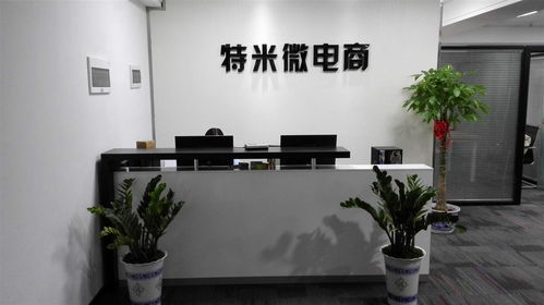 長沙特米電子商務 數字化轉型中的新零售探索